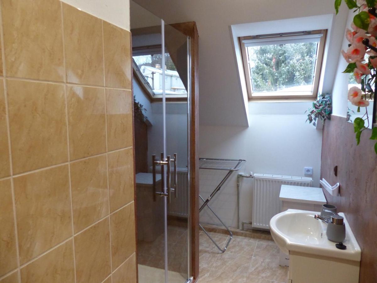 Apartmany Plischke Lipova Lazne Exterior photo