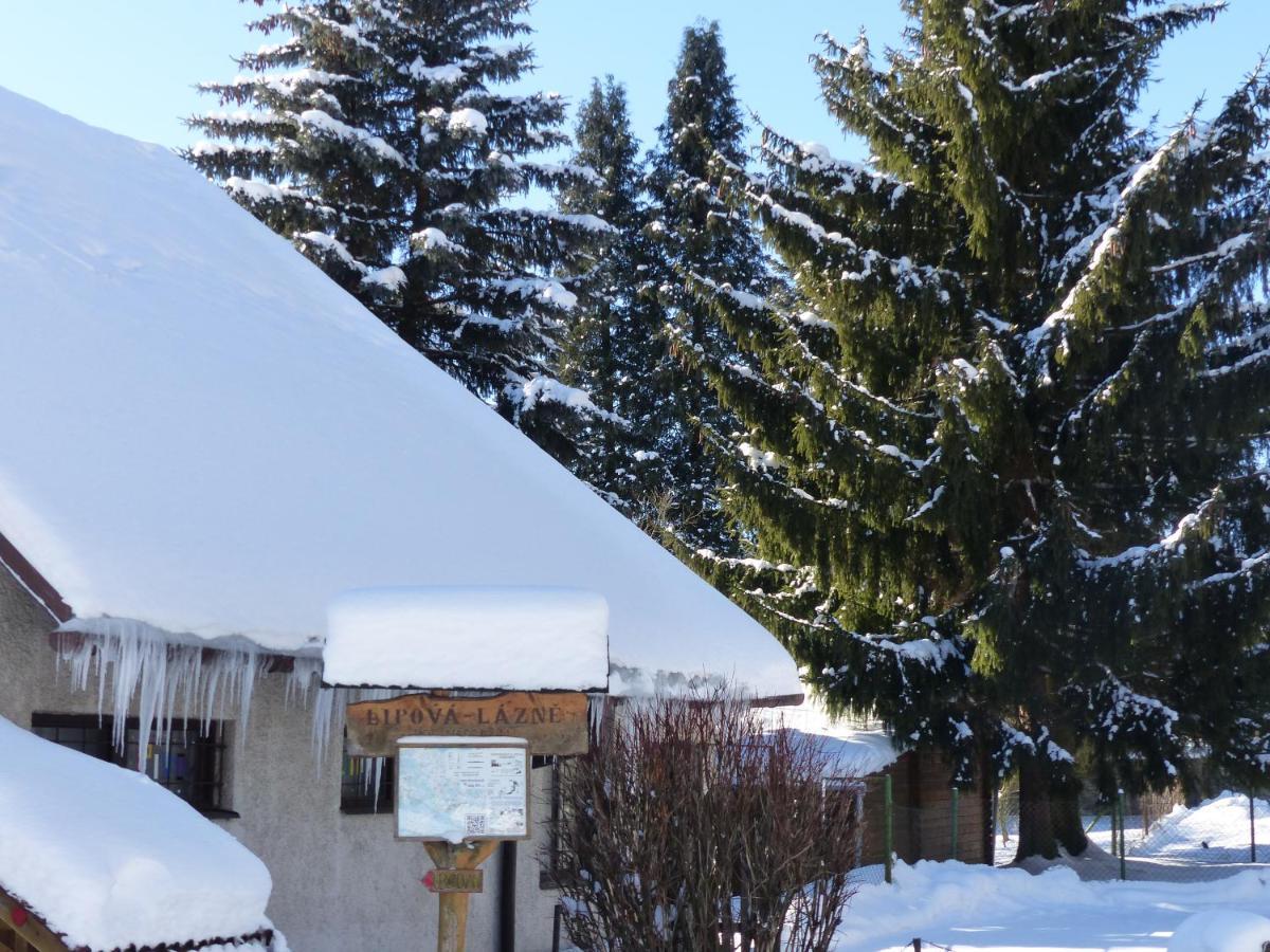 Apartmany Plischke Lipova Lazne Exterior photo
